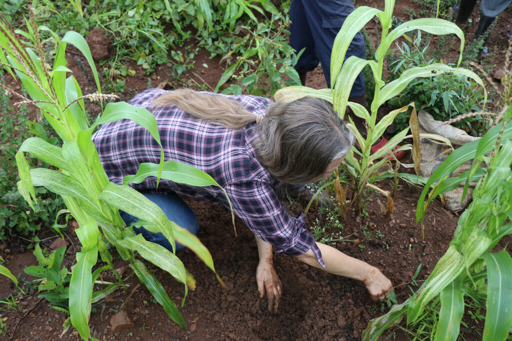 Miriam Delicado farming corn